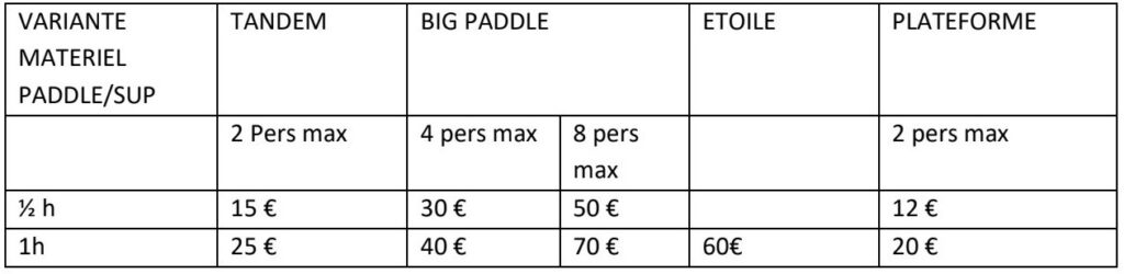 Stand up paddle